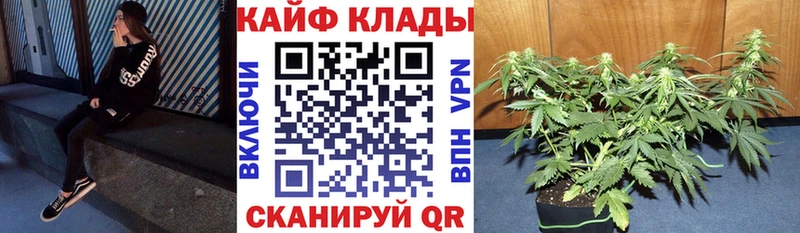 Купить наркотики цена Котовск ГАШИШ Бошки Шишки блэк спрут ТОР МЕФ Alpha PVP MDMA