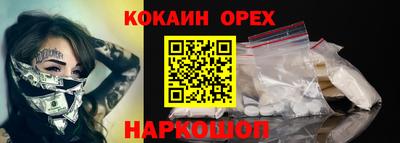 гашик Кинель