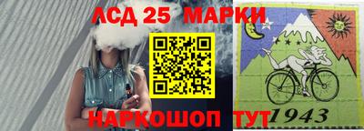 прущие крисы Кингисепп