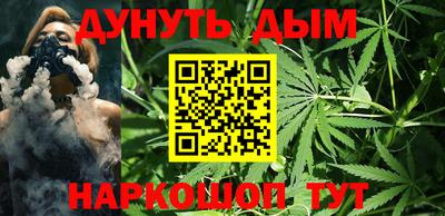 гашик Кинель