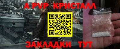 прущие крисы Кингисепп