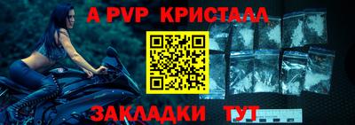 прущие крисы Кингисепп