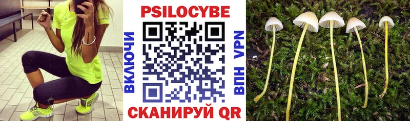 Псилоцибиновые грибы прущие грибы  как найти закладки  Котовск 