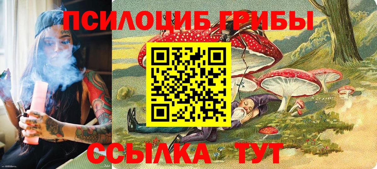Псилоцибиновые грибы Psilocybe  Вход с VPN  Котовск 