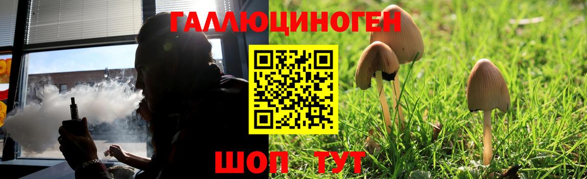 Псилоцибиновые грибы мухоморы Котовск