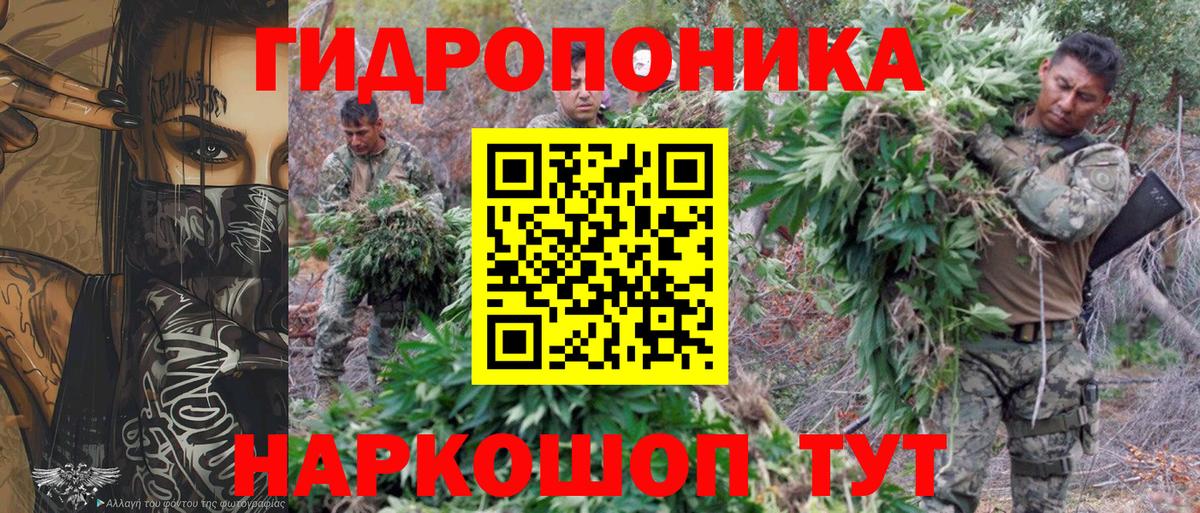 Каннабис индика Котовск